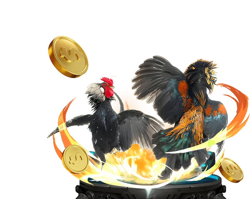 Nền tảng an toàn bl full